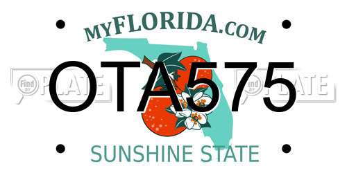 OTA575 Florida License Plate