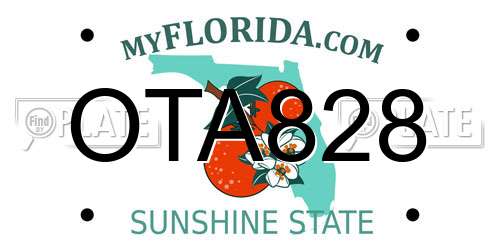 OTA828 Florida License Plate