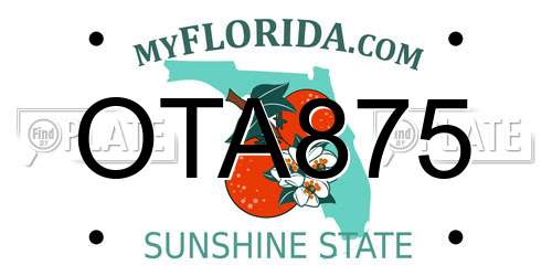 OTA875 Florida License Plate
