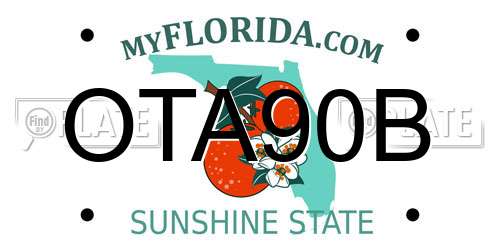 OTA90B Florida License Plate