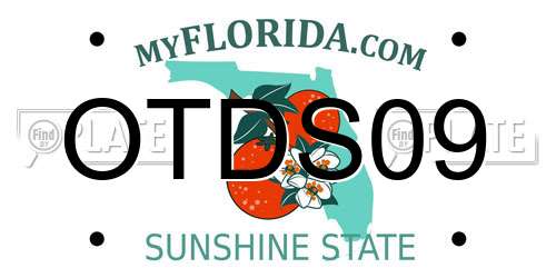 OTDS09 Florida License Plate
