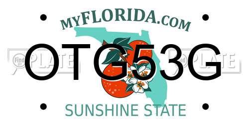 OTG53G Florida License Plate