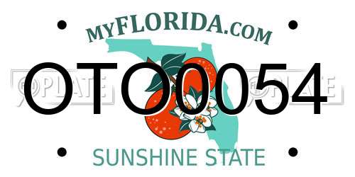 OTO0054 Florida License Plate