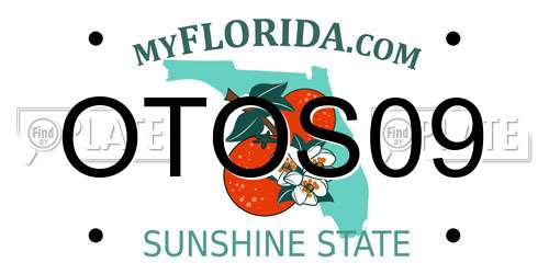 OTOS09 Florida License Plate