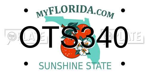 OTS340 Florida License Plate