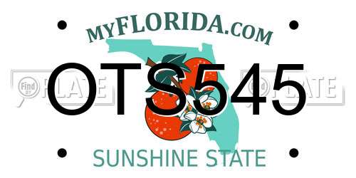 OTS545 Florida License Plate