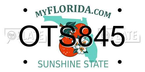 OTS845 Florida License Plate