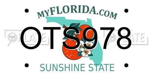 OTS978 Florida License Plate