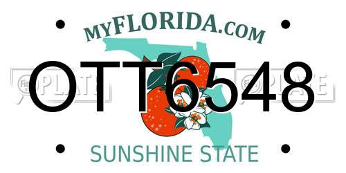 OTT6548 Florida License Plate