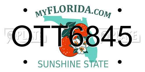 OTT6845 Florida License Plate
