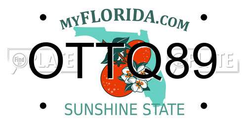 OTTQ89 Florida License Plate