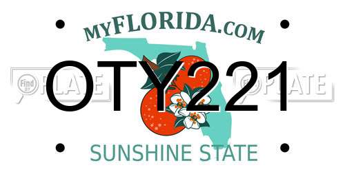 OTY221 Florida License Plate