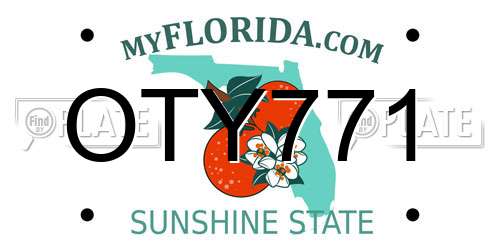 OTY771 Florida License Plate