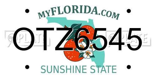 OTZ6545 Florida License Plate