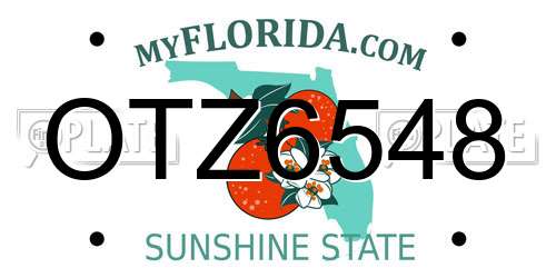 OTZ6548 Florida License Plate