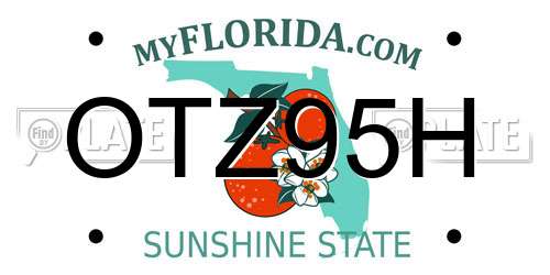 OTZ95H Florida License Plate
