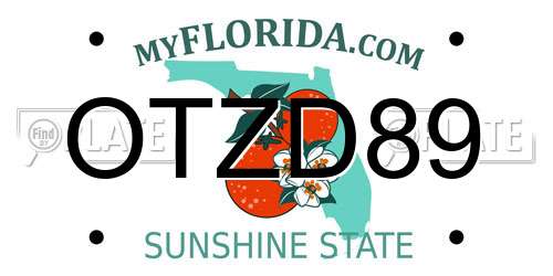 OTZD89 Florida License Plate
