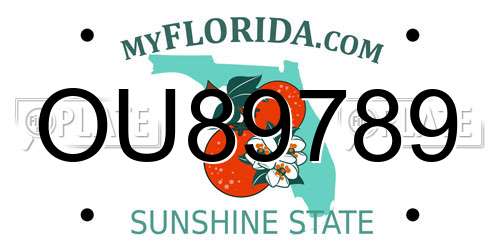 OU89789 Florida License Plate