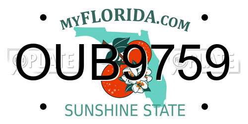 OUB9759 Florida License Plate