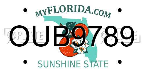 OUB9789 Florida License Plate