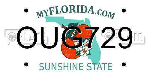 OUG729 Florida License Plate
