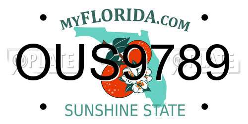 OUS9789 Florida License Plate