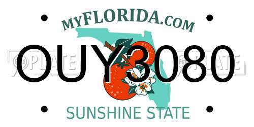 OUY3080 Florida License Plate