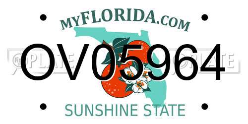OV05964 Florida License Plate