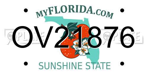 OV21876 Florida License Plate