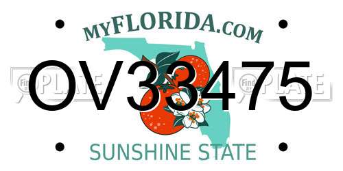 OV33475 Florida License Plate