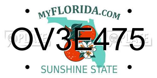 OV3E475 Florida License Plate