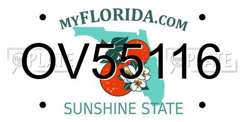 OV55116 Florida License Plate