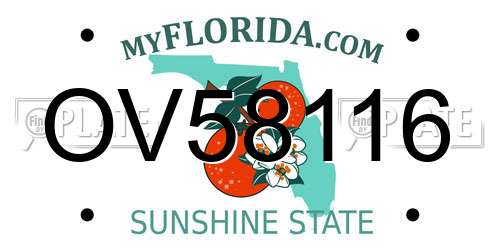 OV58116 Florida License Plate
