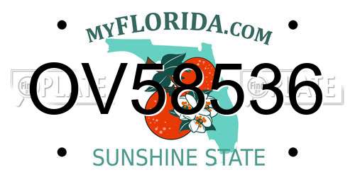 OV58536 Florida License Plate