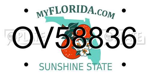 OV58836 Florida License Plate