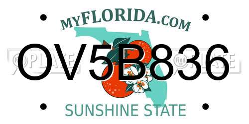 OV5B836 Florida License Plate