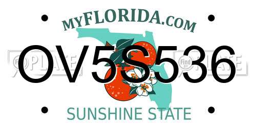 OV5S536 Florida License Plate