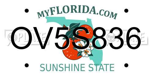 OV5S836 Florida License Plate