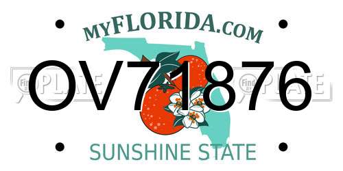 OV71876 Florida License Plate