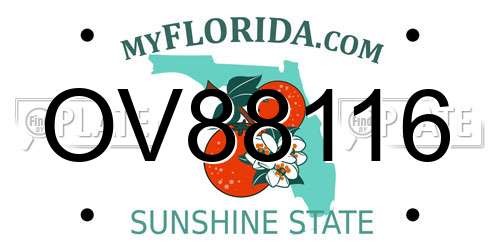 OV88116 Florida License Plate
