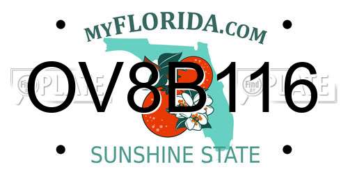 OV8B116 Florida License Plate