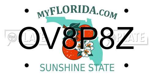 OV8P8Z Florida License Plate