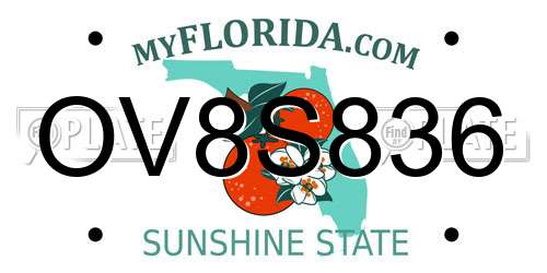 OV8S836 Florida License Plate