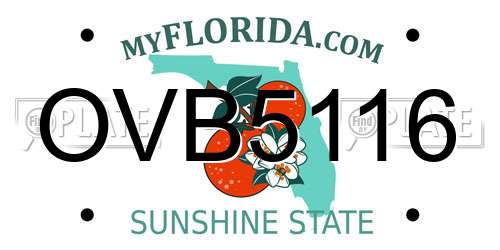 OVB5116 Florida License Plate