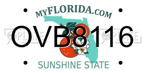 OVB8116 Florida License Plate