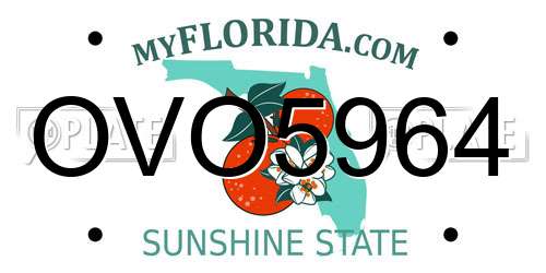 OVO5964 Florida License Plate