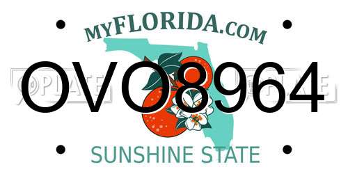 OVO8964 Florida License Plate