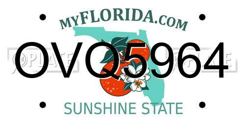 OVQ5964 Florida License Plate