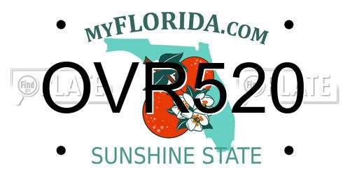 OVR520 Florida License Plate