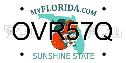 OVR57Q Florida License Plate